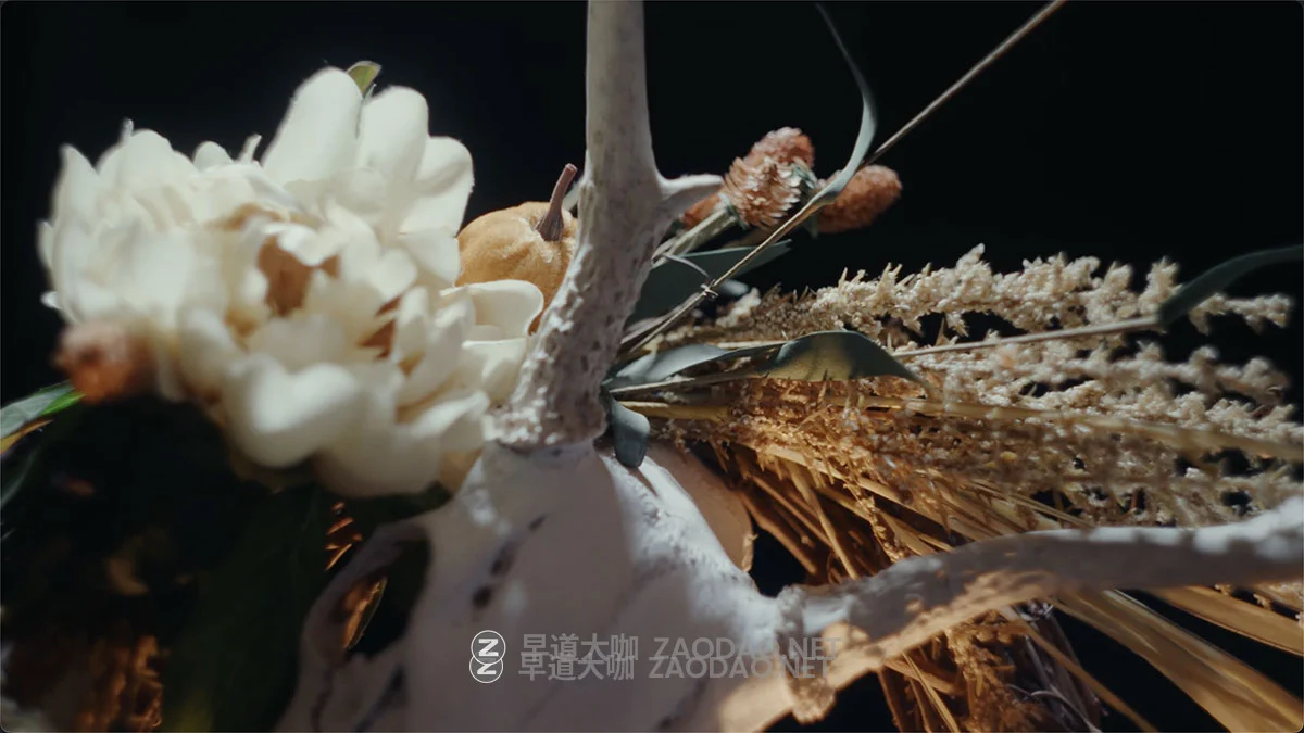 电影级ARRI胶片故障拖影重影帧位移视觉效果模拟达芬奇插件+PowerGrade节点 Andri Klangfield Timeshift Effect PowerGrade DaVinci Resolve插图2 电影级ARRI胶片故障拖影重影帧位移视觉效果模拟达芬奇插件+PowerGrade节点 Andri Klangfield Timeshift Effect PowerGrade DaVinci Resolve插图2