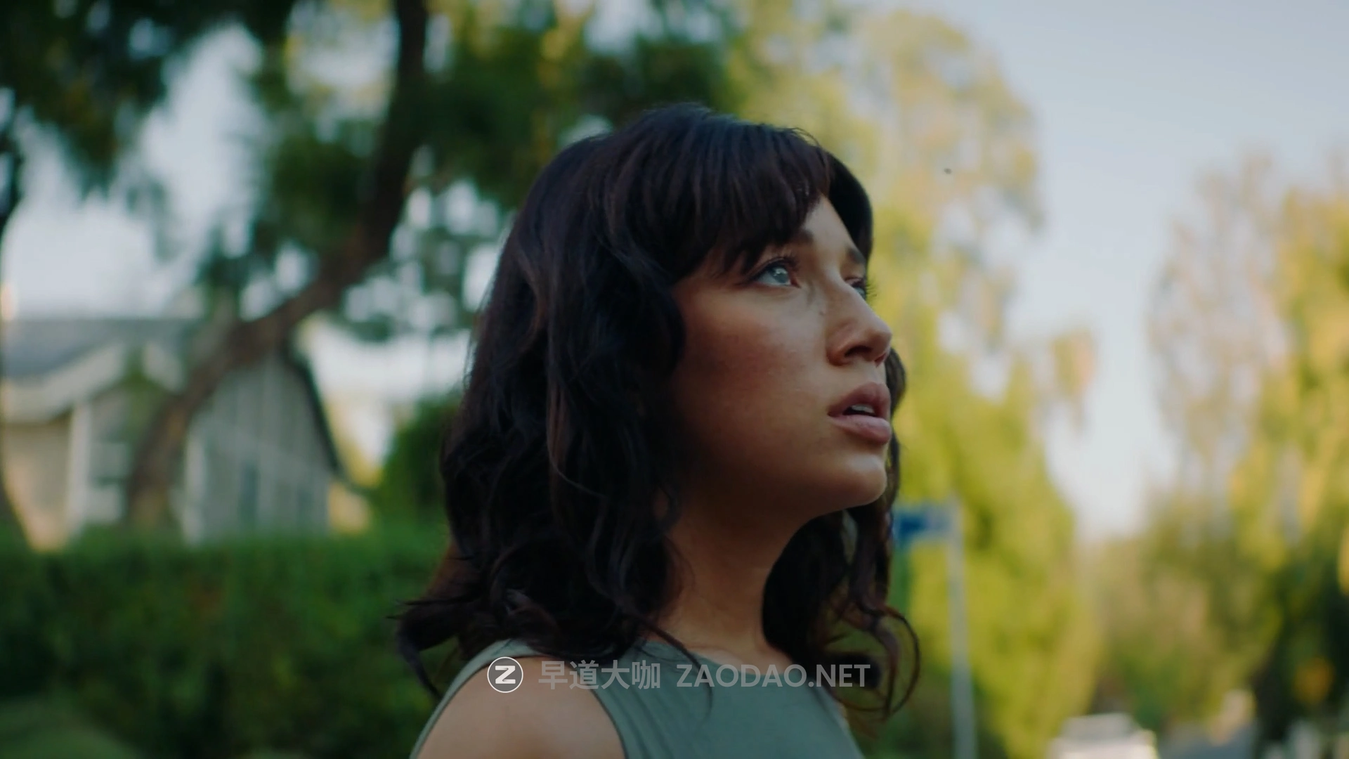 达芬奇/PR/PS插件 电影级好莱坞大片胶片模拟ACES色彩科学视频色彩分级调色插件 CineDream V1.1.3 Win版本插图11 达芬奇/PR/PS插件 电影级好莱坞大片胶片模拟ACES色彩科学视频色彩分级调色插件 CineDream V1.1.3 Win版本插图11