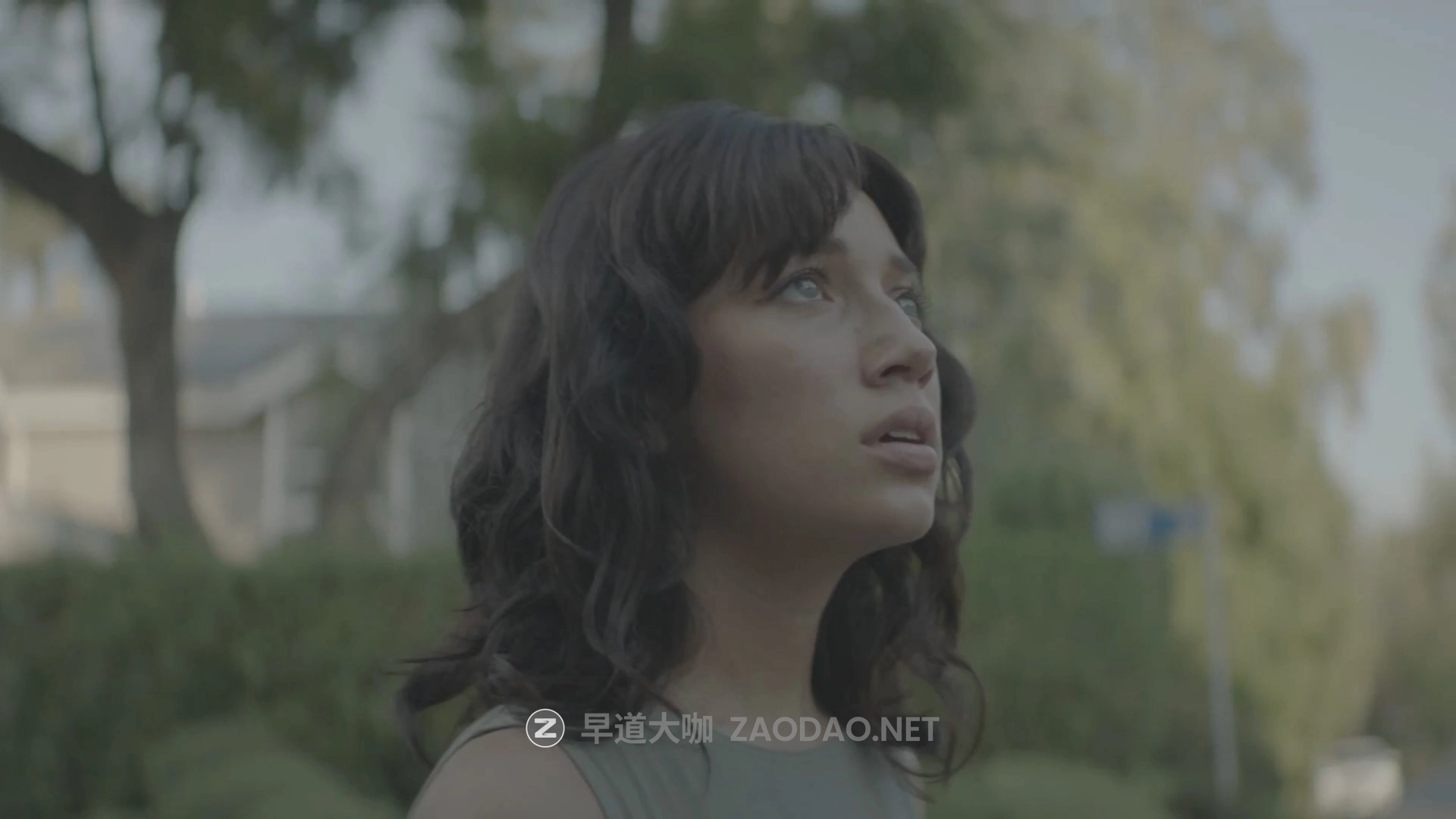 达芬奇/PR/PS插件 电影级好莱坞大片胶片模拟ACES色彩科学视频色彩分级调色插件 CineDream V1.1.3 Win版本插图10 达芬奇/PR/PS插件 电影级好莱坞大片胶片模拟ACES色彩科学视频色彩分级调色插件 CineDream V1.1.3 Win版本插图10