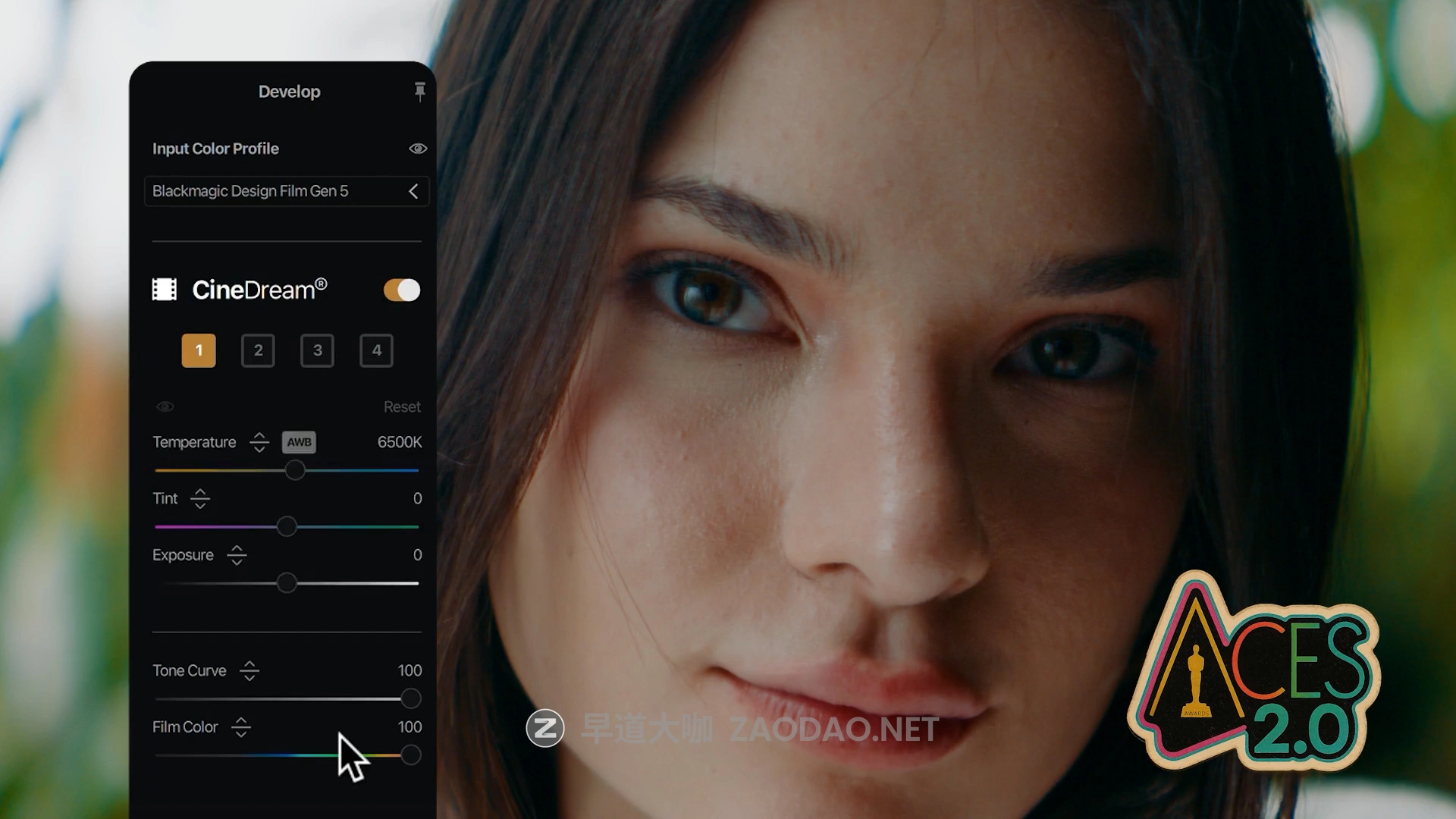 达芬奇/PR/PS插件 电影级好莱坞大片胶片模拟ACES色彩科学视频色彩分级调色插件 CineDream V1.1.3 Win版本插图6 达芬奇/PR/PS插件 电影级好莱坞大片胶片模拟ACES色彩科学视频色彩分级调色插件 CineDream V1.1.3 Win版本插图6