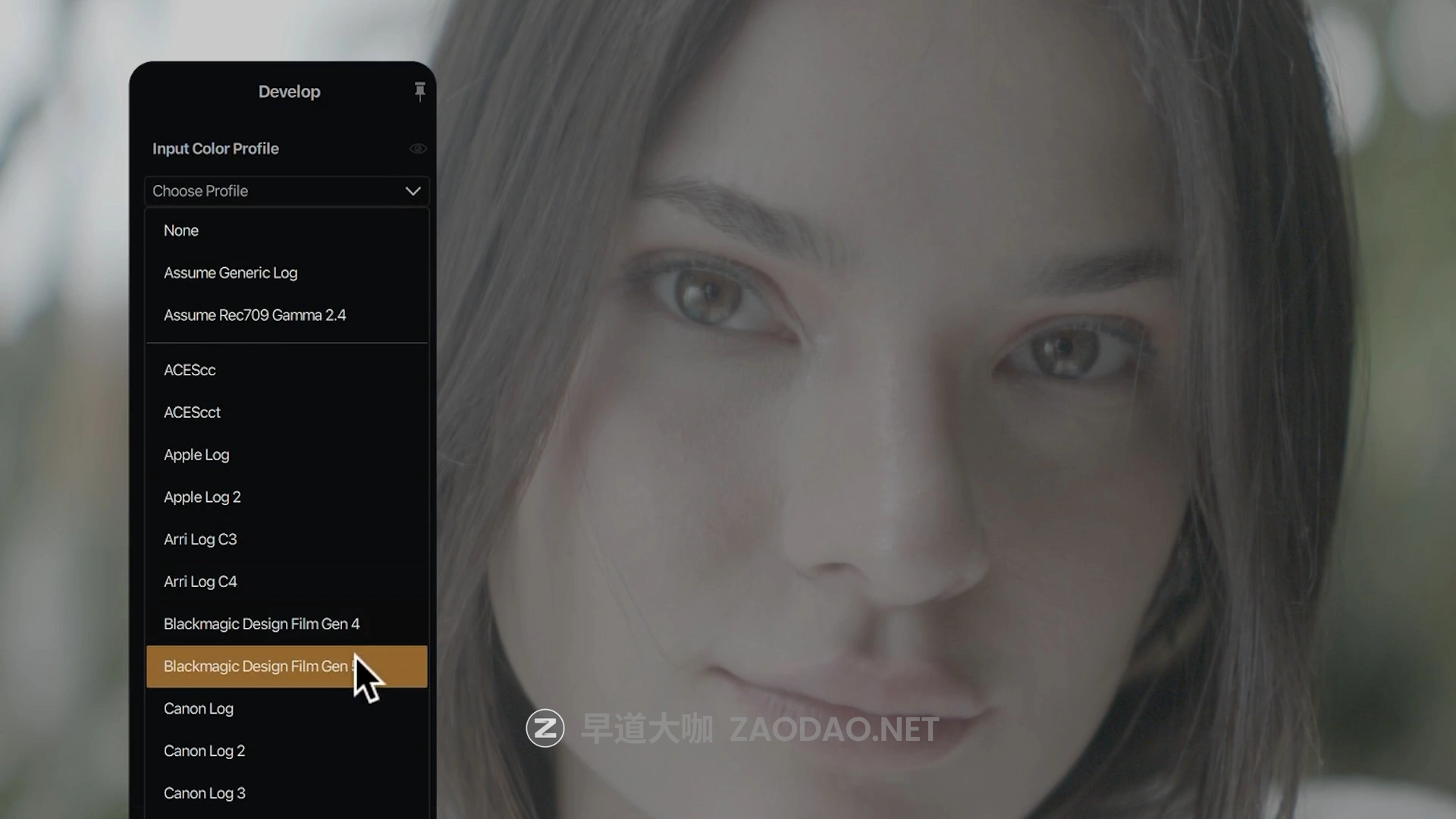 达芬奇/PR/PS插件 电影级好莱坞大片胶片模拟ACES色彩科学视频色彩分级调色插件 CineDream V1.1.3 Win版本插图5 达芬奇/PR/PS插件 电影级好莱坞大片胶片模拟ACES色彩科学视频色彩分级调色插件 CineDream V1.1.3 Win版本插图5