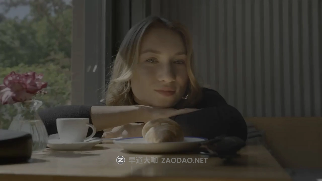 达芬奇/PR/PS插件 电影级好莱坞大片胶片模拟ACES色彩科学视频色彩分级调色插件 CineDream V1.1.3 Win版本插图1 达芬奇/PR/PS插件 电影级好莱坞大片胶片模拟ACES色彩科学视频色彩分级调色插件 CineDream V1.1.3 Win版本插图1