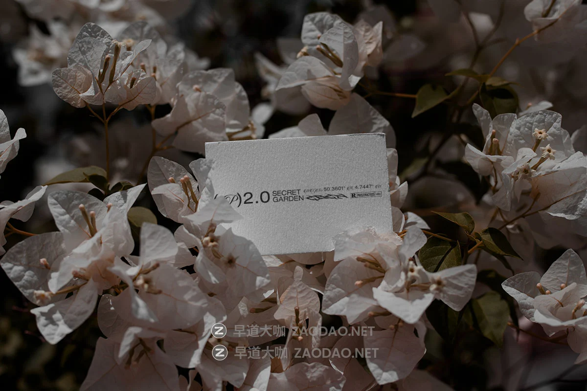 8款户外拍摄棒球帽手提袋包装盒名片iPhone手机Mac电脑作品集logo设计贴图psd样机模板 Format Mockup – EDEN 02 Collection P4插图5 8款户外拍摄棒球帽手提袋包装盒名片iPhone手机Mac电脑作品集logo设计贴图psd样机模板 Format Mockup – EDEN 02 Collection P4插图5