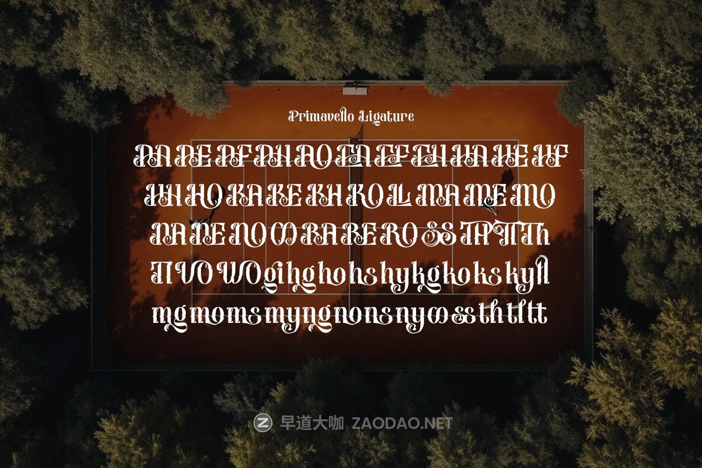 现代优雅品牌婚礼邀请函标志设计装饰英文字体安装包 Primavello Font插图9 现代优雅品牌婚礼邀请函标志设计装饰英文字体安装包 Primavello Font插图9