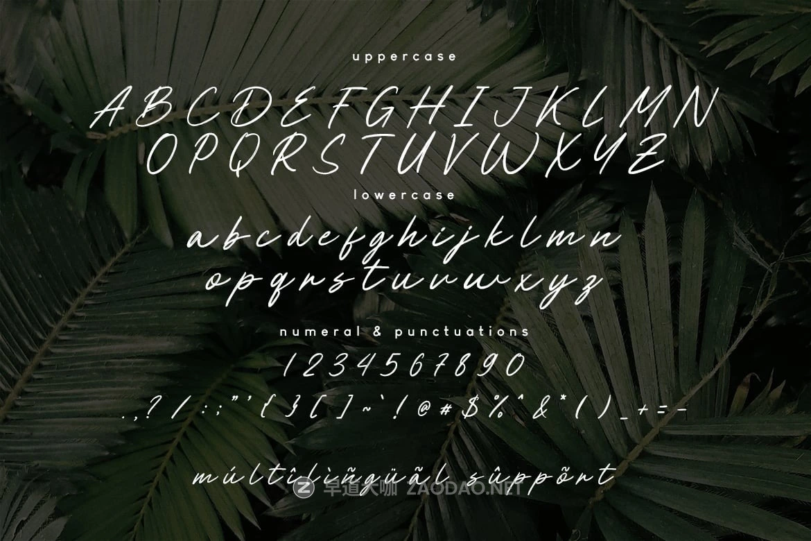现代优雅美学品牌包装标志设计手写英文字体安装包 Managiri Aesthetic Brush Font插图3 现代优雅美学品牌包装标志设计手写英文字体安装包 Managiri Aesthetic Brush Font插图3