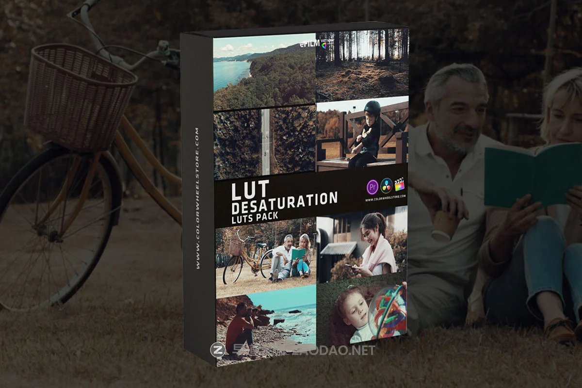 电影级无人机旅拍摄影灰片Log、Rec709视频调色lut预设包 Colorwheelstore – Lut Destaturation Style Pack插图 电影级无人机旅拍摄影灰片Log、Rec709视频调色lut预设包 Colorwheelstore – Lut Destaturation Style Pack插图