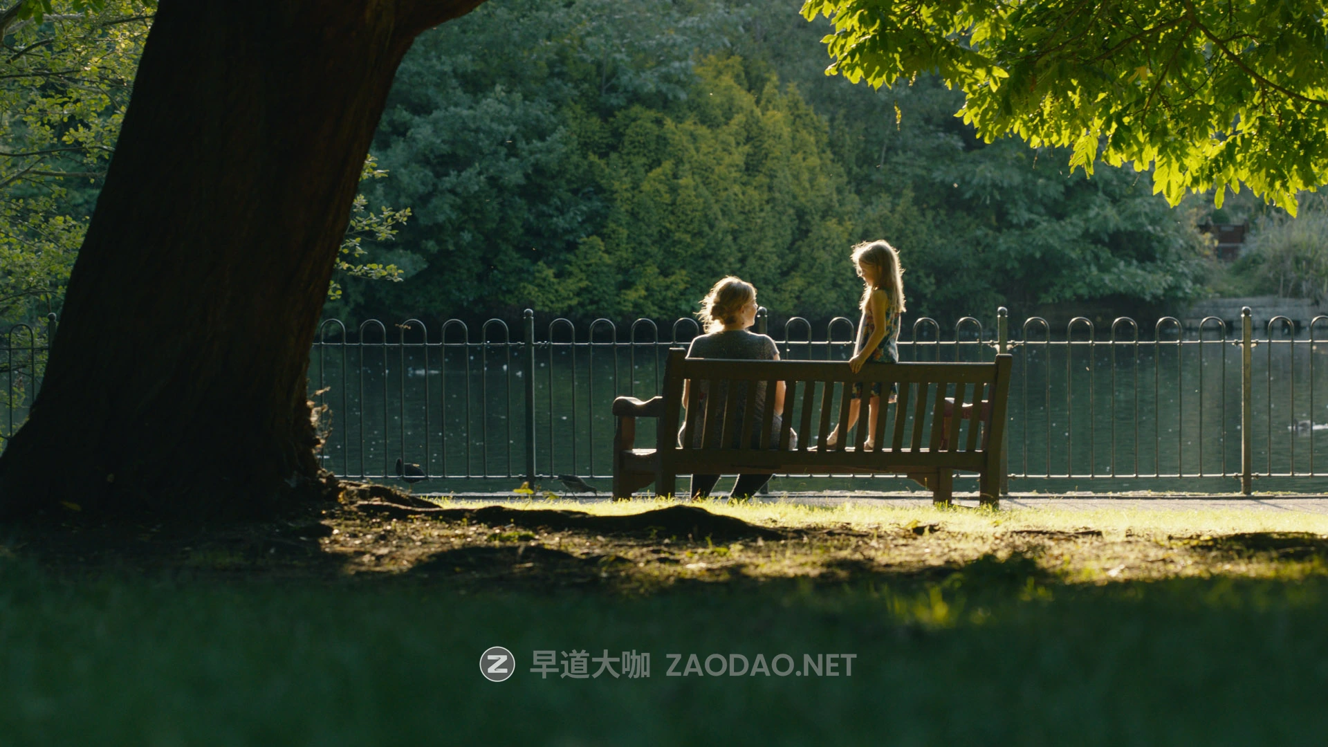 达芬奇插件 专业电影级视频曲线、分色调、饱和度、密度和色相调色工具 Procolorist – Contour v2.2.2 for DaVinci Reslove (Win + Mac)插图3 达芬奇插件 专业电影级视频曲线、分色调、饱和度、密度和色相调色工具 Procolorist – Contour v2.2.2 for DaVinci Reslove (Win + Mac)插图3