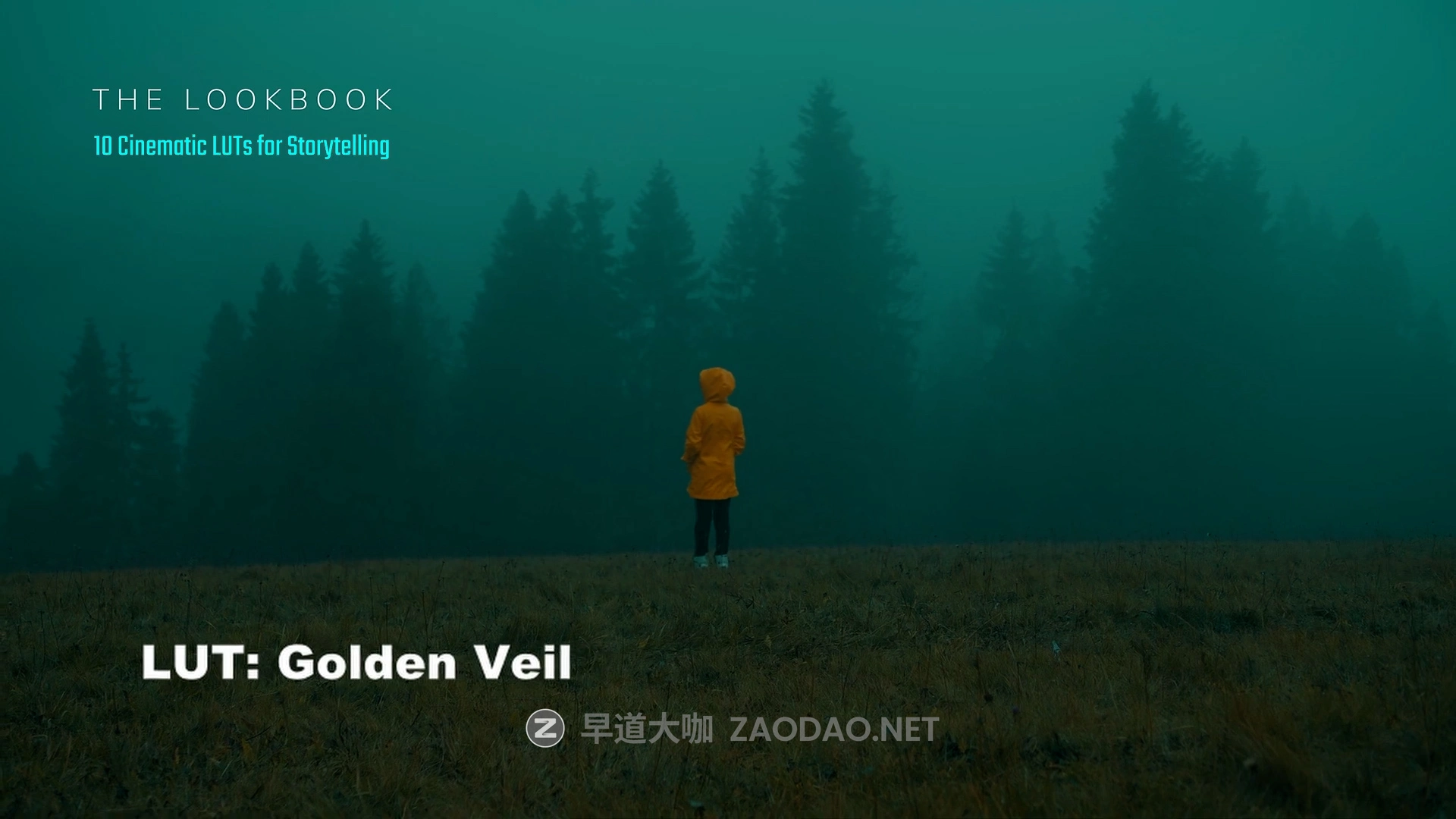13款怀旧电影氛围叙事旅拍Vlog短片视频调色LUT预设 Kasia Jarco – The Lookbook: 13 Cinematic LUTs for storytelling插图5 13款怀旧电影氛围叙事旅拍Vlog短片视频调色LUT预设 Kasia Jarco – The Lookbook: 13 Cinematic LUTs for storytelling插图5