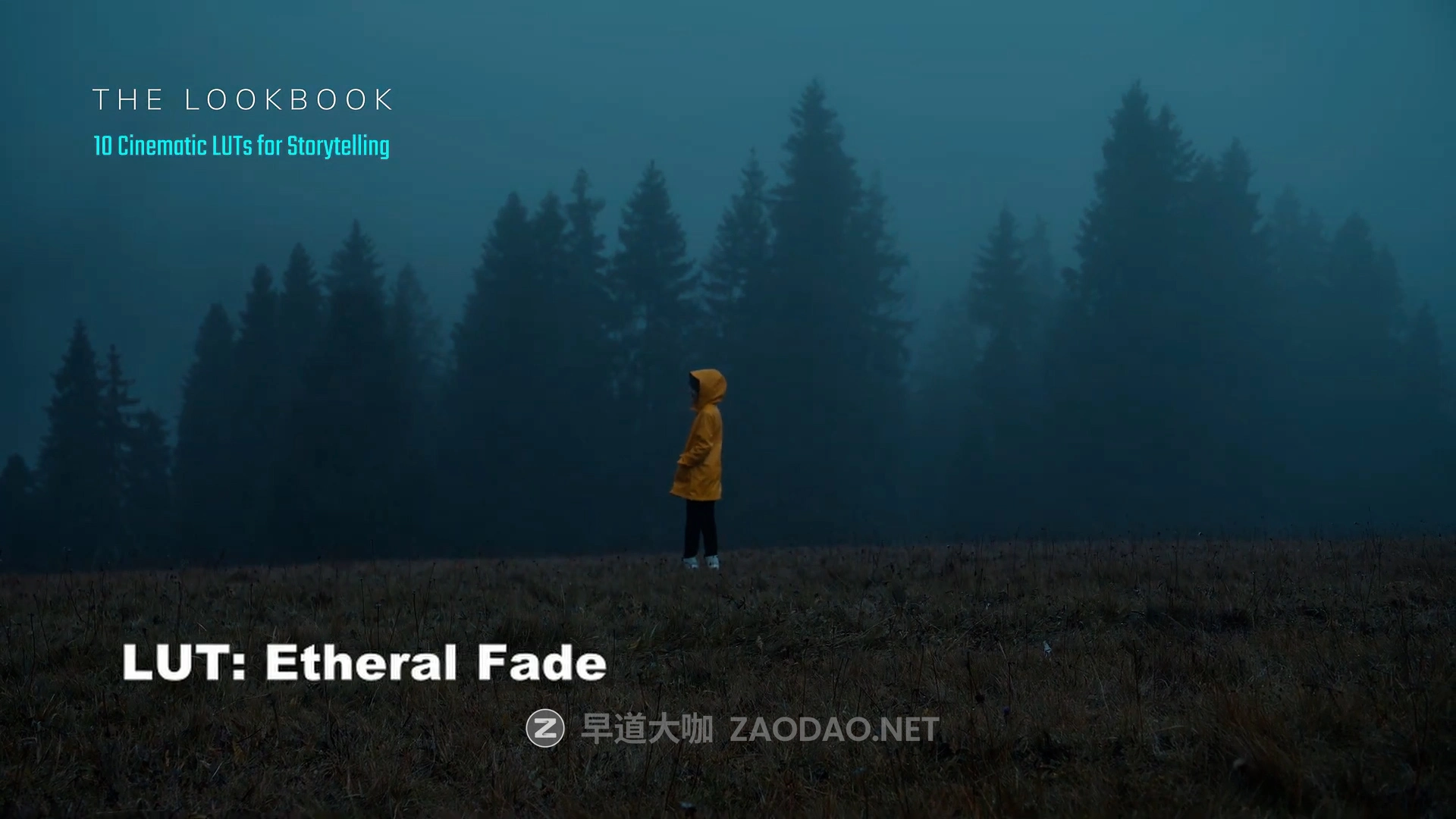 13款怀旧电影氛围叙事旅拍Vlog短片视频调色LUT预设 Kasia Jarco – The Lookbook: 13 Cinematic LUTs for storytelling插图4 13款怀旧电影氛围叙事旅拍Vlog短片视频调色LUT预设 Kasia Jarco – The Lookbook: 13 Cinematic LUTs for storytelling插图4