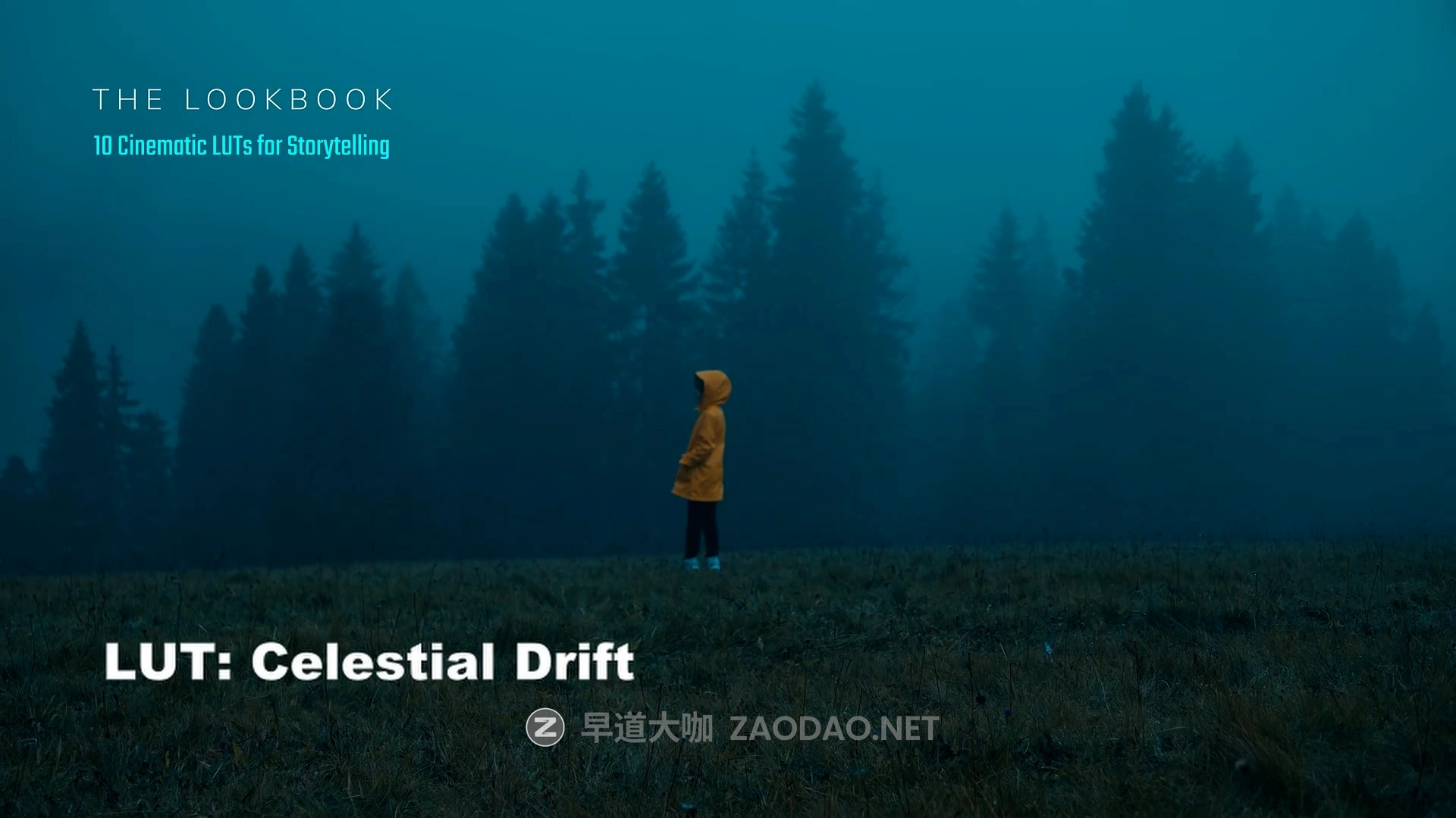 13款怀旧电影氛围叙事旅拍Vlog短片视频调色LUT预设 Kasia Jarco – The Lookbook: 13 Cinematic LUTs for storytelling插图3 13款怀旧电影氛围叙事旅拍Vlog短片视频调色LUT预设 Kasia Jarco – The Lookbook: 13 Cinematic LUTs for storytelling插图3