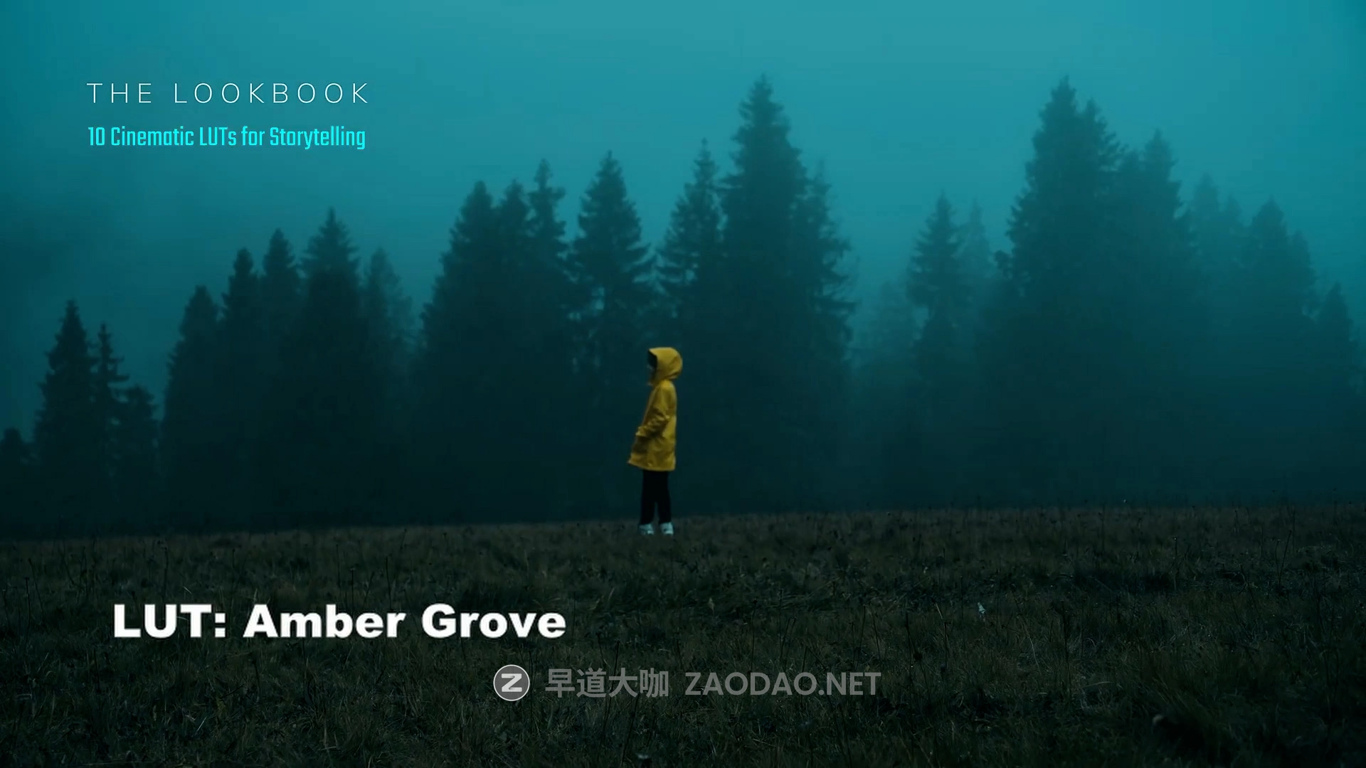 13款怀旧电影氛围叙事旅拍Vlog短片视频调色LUT预设 Kasia Jarco – The Lookbook: 13 Cinematic LUTs for storytelling插图2 13款怀旧电影氛围叙事旅拍Vlog短片视频调色LUT预设 Kasia Jarco – The Lookbook: 13 Cinematic LUTs for storytelling插图2