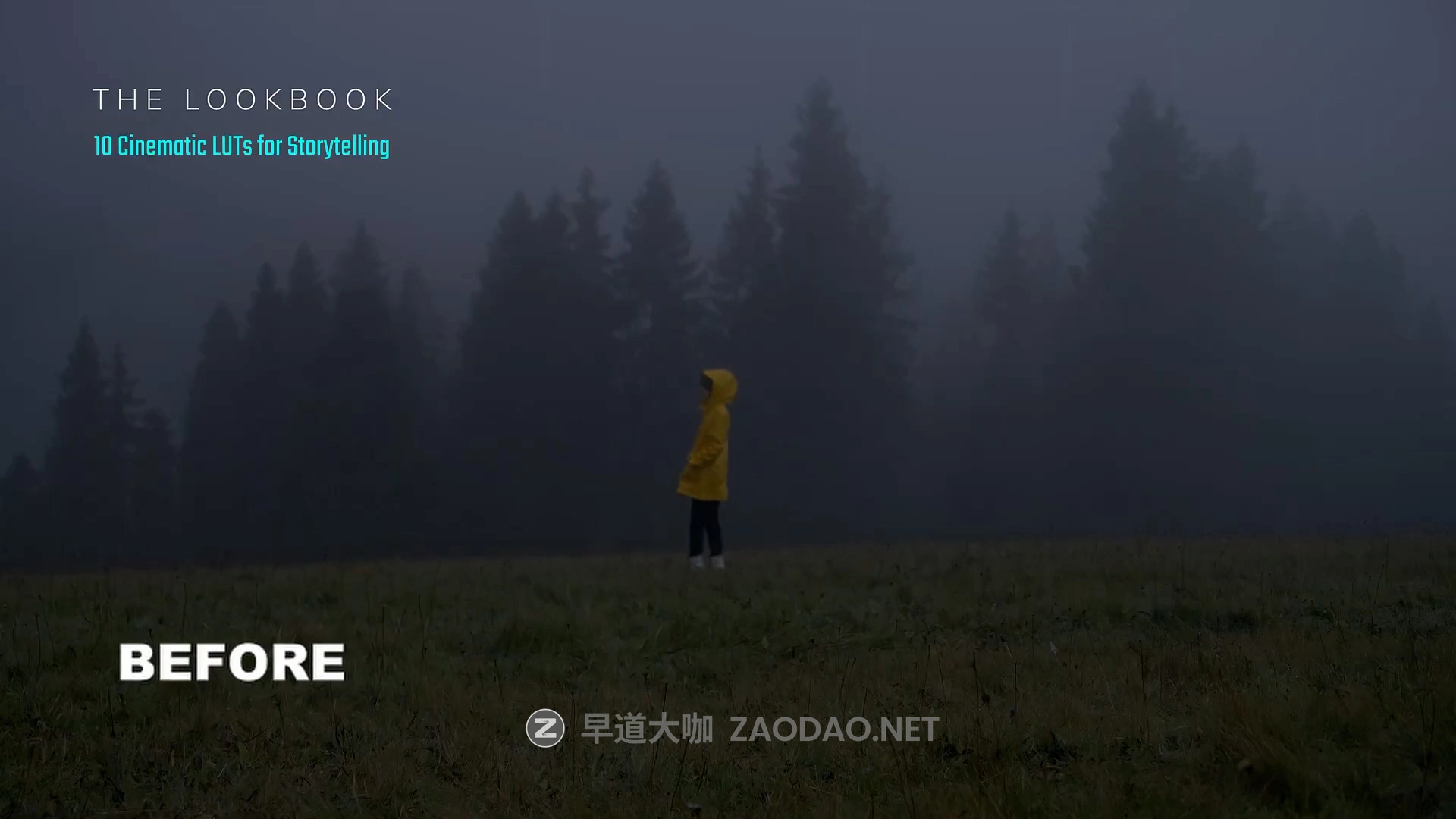 13款怀旧电影氛围叙事旅拍Vlog短片视频调色LUT预设 Kasia Jarco – The Lookbook: 13 Cinematic LUTs for storytelling插图1 13款怀旧电影氛围叙事旅拍Vlog短片视频调色LUT预设 Kasia Jarco – The Lookbook: 13 Cinematic LUTs for storytelling插图1