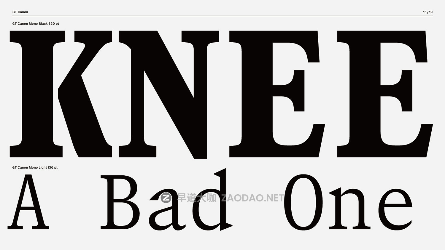 GT Canon – New! 2026’s Biggest Font Family 224xTTF 224款字重经典文学美学报纸海报杂志标题logo设计衬线英文字体插图15 GT Canon – New! 2026’s Biggest Font Family 224xTTF 224款字重经典文学美学报纸海报杂志标题logo设计衬线英文字体插图15