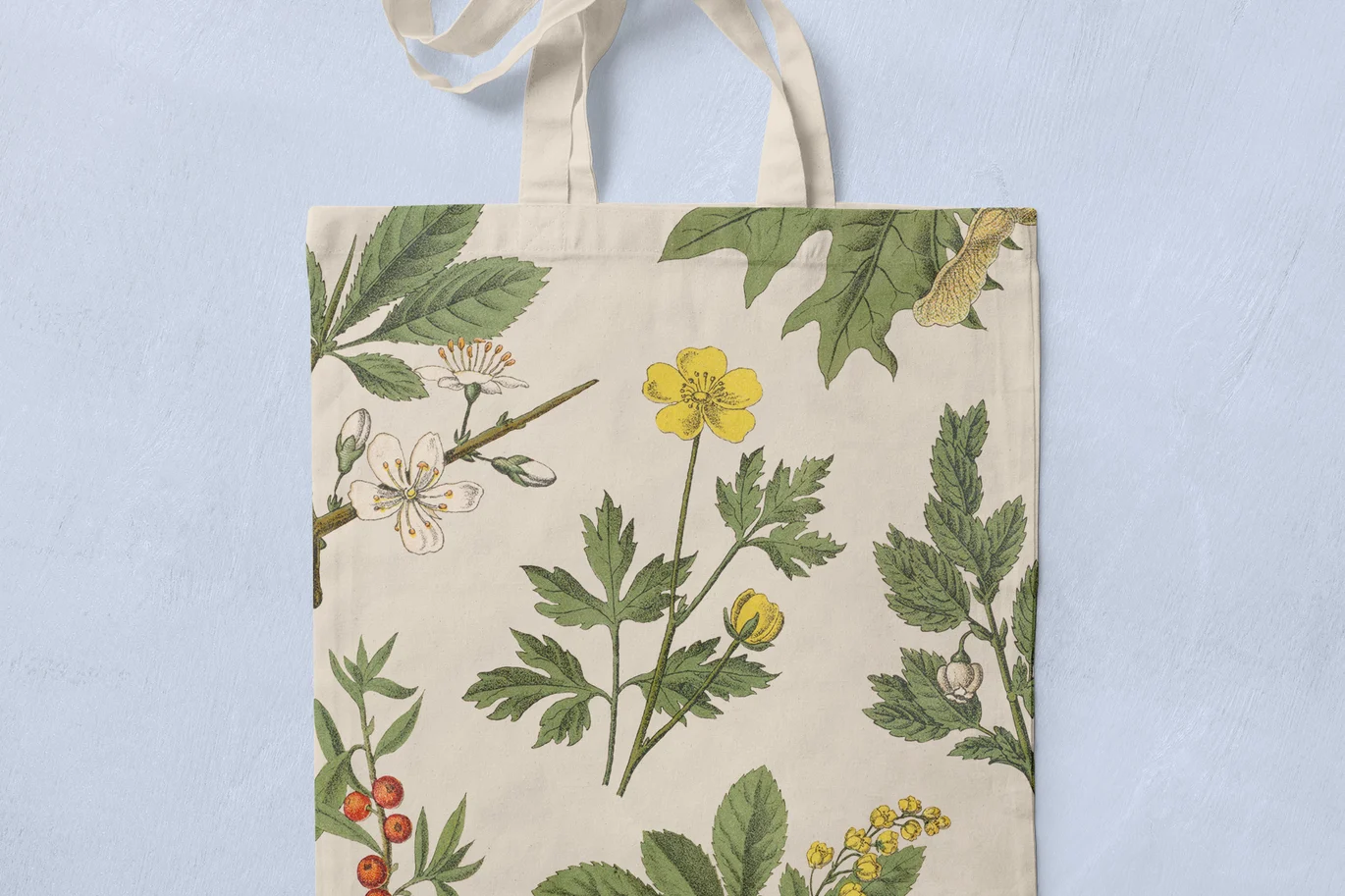 13款高清树叶花卉果实植物草药手绘插画png免抠图设计素材 Botanica Vol. 1 – Vintage Plants Illustrations插图3 13款高清树叶花卉果实植物草药手绘插画png免抠图设计素材 Botanica Vol. 1 – Vintage Plants Illustrations插图3
