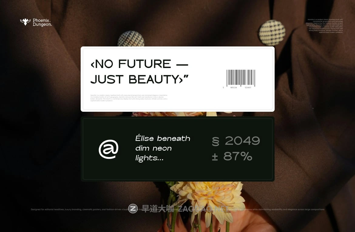 优雅极简奢华品牌电影海报徽标设计无衬线英文字体安装包 Narethe Typeface插图2 优雅极简奢华品牌电影海报徽标设计无衬线英文字体安装包 Narethe Typeface插图2