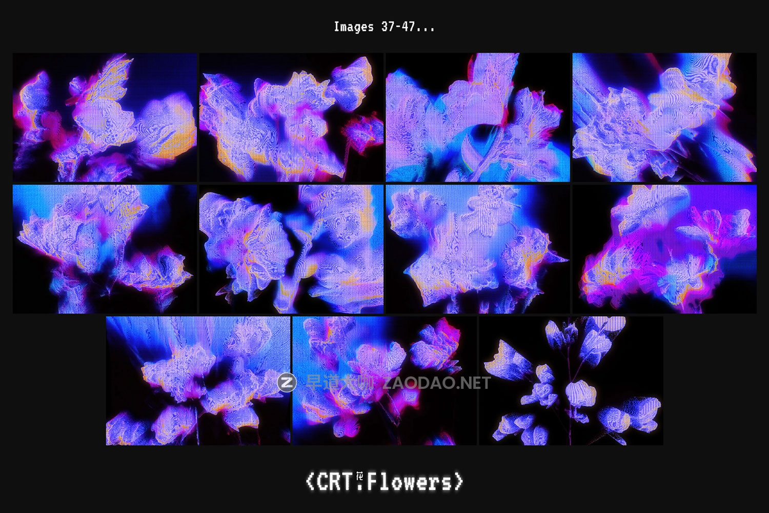 47款CRT信号失真故障霓虹扫描线发光磷光体般花瓣花朵5K高清背景图设计素材 CRT Flowers Overlays插图15 47款CRT信号失真故障霓虹扫描线发光磷光体般花瓣花朵5K高清背景图设计素材 CRT Flowers Overlays插图15