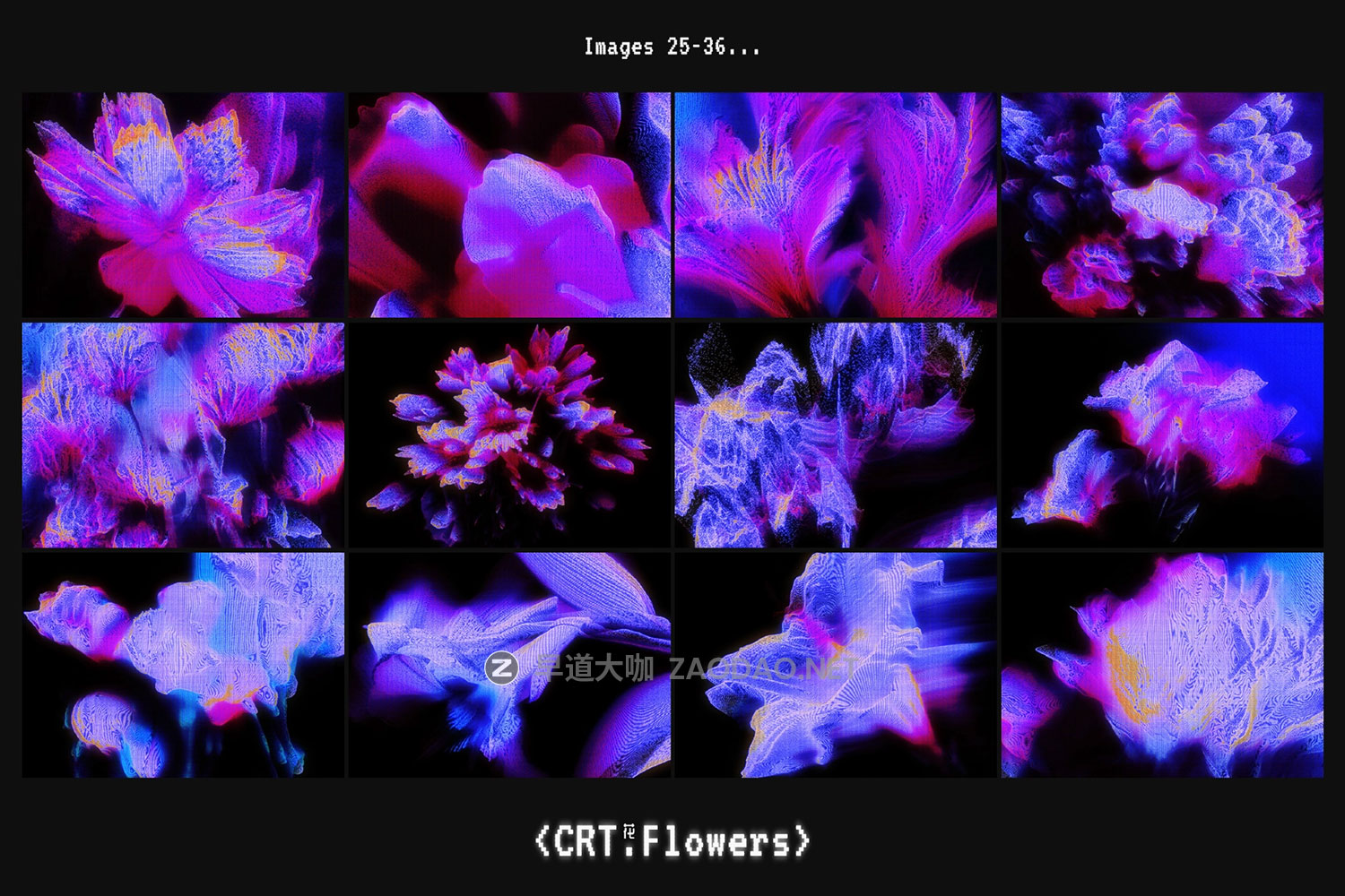 47款CRT信号失真故障霓虹扫描线发光磷光体般花瓣花朵5K高清背景图设计素材 CRT Flowers Overlays插图16 47款CRT信号失真故障霓虹扫描线发光磷光体般花瓣花朵5K高清背景图设计素材 CRT Flowers Overlays插图16