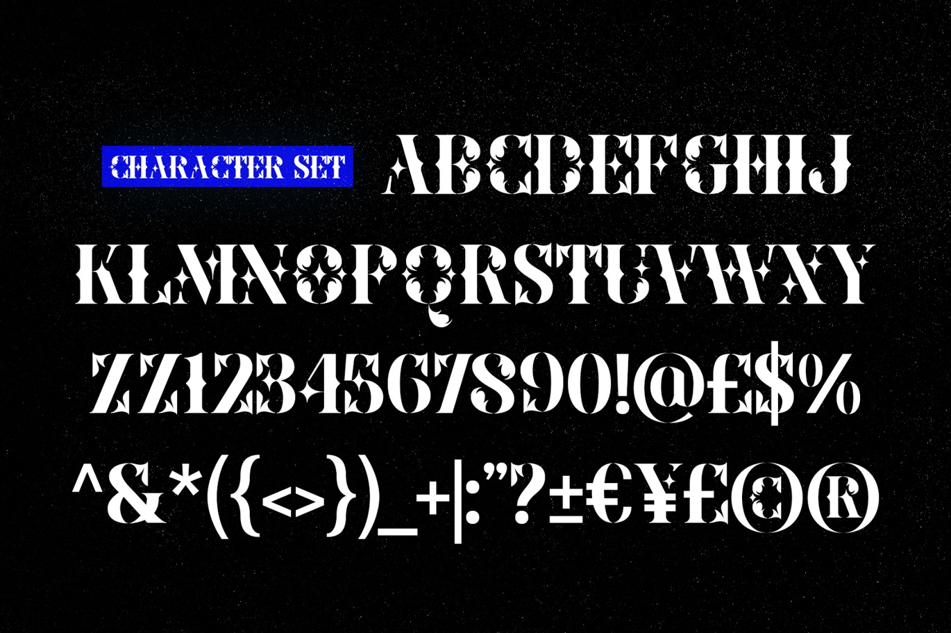 优雅美学品牌包装标志设计衬线英文字体安装包 Sparke – Floral Futuristic Serif插图3 优雅美学品牌包装标志设计衬线英文字体安装包 Sparke – Floral Futuristic Serif插图3