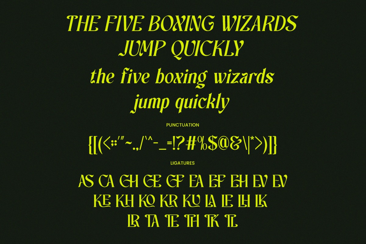 时尚优雅奢华品牌杂志包装婚礼设计衬线英文字体安装包 Ligature Elegant Serif Font – Churasi插图9 时尚优雅奢华品牌杂志包装婚礼设计衬线英文字体安装包 Ligature Elegant Serif Font – Churasi插图9