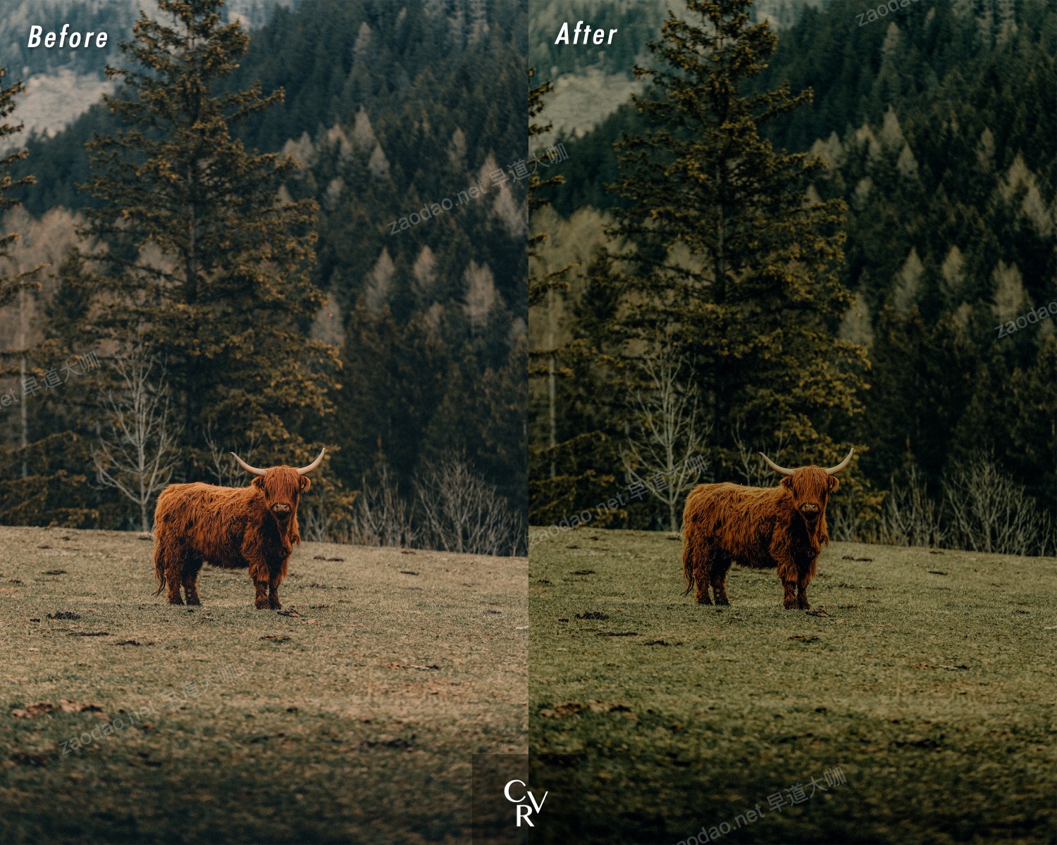 10款电影感INS风绿色调旅拍风景摄影照片调色Lightroom预设 支持手机LR CVR Presets – 10 Cinematic Greens Lightroom Presets插图8 10款电影感INS风绿色调旅拍风景摄影照片调色Lightroom预设 支持手机LR CVR Presets – 10 Cinematic Greens Lightroom Presets插图8