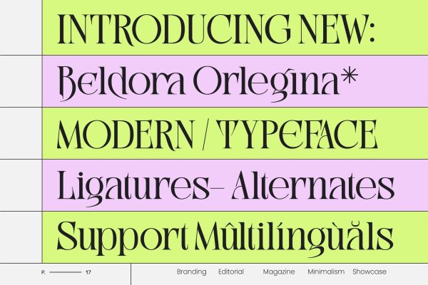 现代优雅品牌包装婚礼设计衬线英文字体安装包 Beldora Orlegina – Editorial Display Serif特色图 现代优雅品牌包装婚礼设计衬线英文字体安装包 Beldora Orlegina – Editorial Display Serif