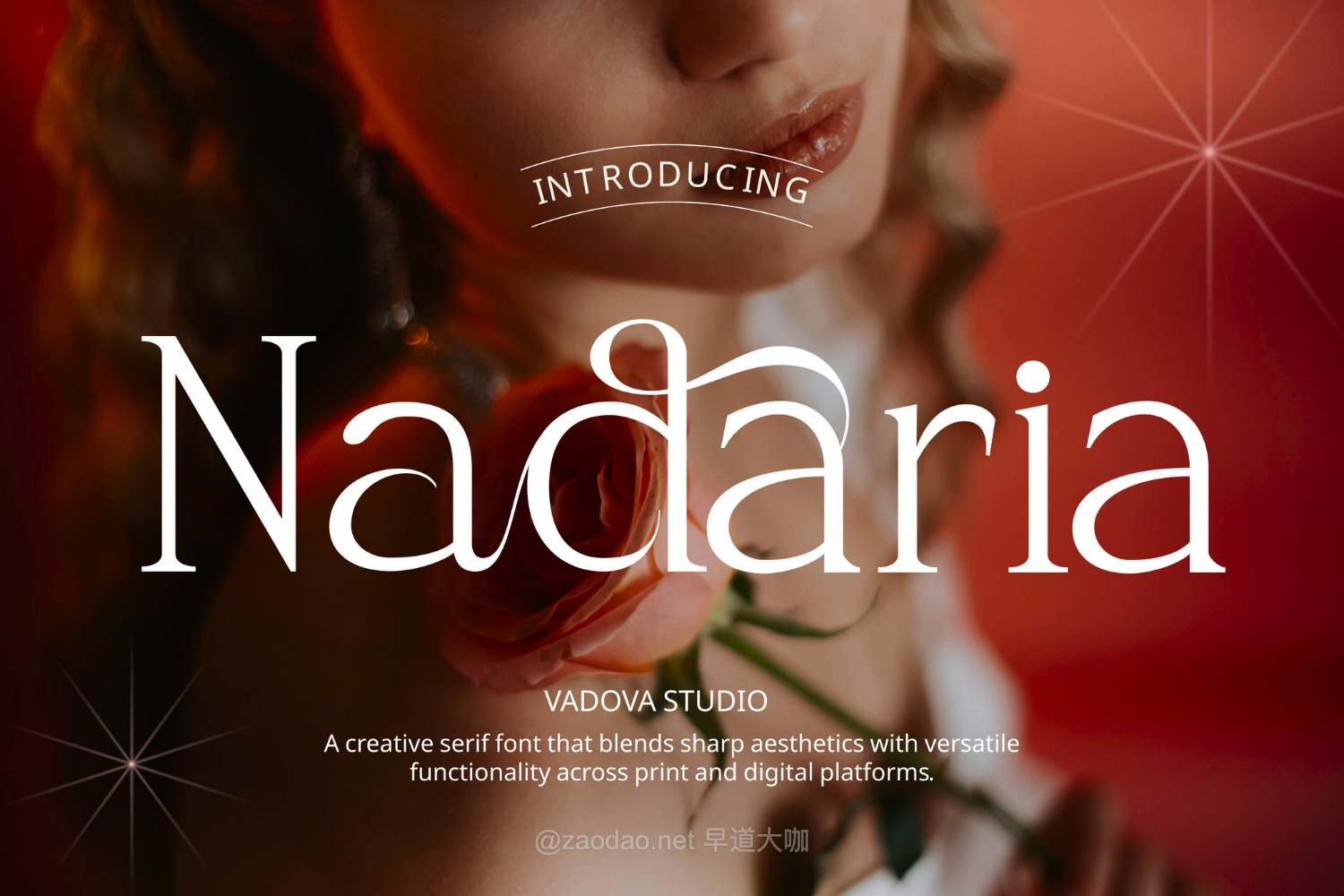 精致优雅婚礼品牌文具包装标题古典艺术衬线英文字体安装包 Nadaria – Creative Serif Font特色图 精致优雅婚礼品牌文具包装标题古典艺术衬线英文字体安装包 Nadaria – Creative Serif Font