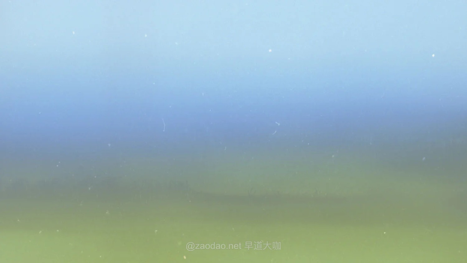 45组真实复古8mm/16mm/35mm胶片漏光灼烧脏感4K动态特效视频素材 Sickboat – Film Burns Film Flash Frames插图19 45组真实复古8mm/16mm/35mm胶片漏光灼烧脏感4K动态特效视频素材 Sickboat – Film Burns Film Flash Frames插图19